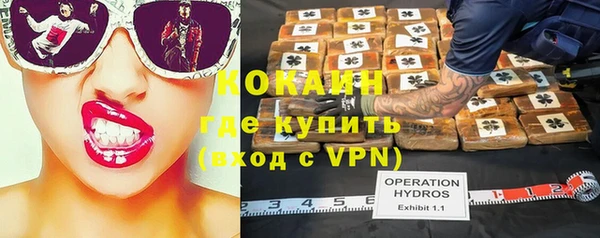 винт Касимов