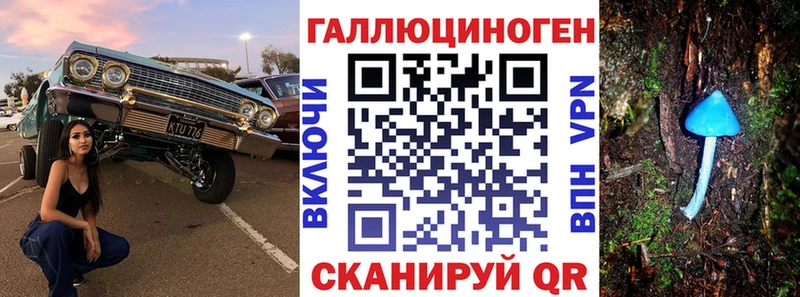 Галлюциногенные грибы Psilocybine cubensis  наркошоп  Белоозёрский 